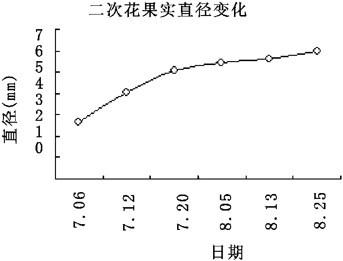 6.2 物候現象